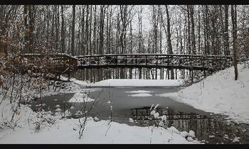 Winter Screensaver screenshot