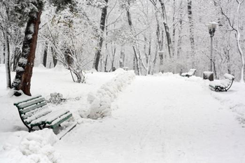 Winter Screensaver screenshot