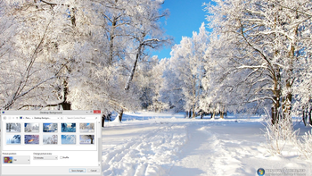 Winter Trees Windows 7 Theme screenshot