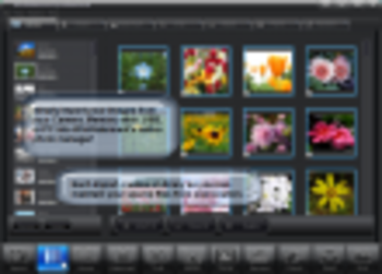 WinWatermark Professional screenshot