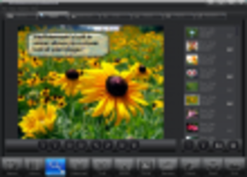 WinWatermark Professional screenshot 2