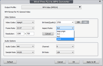 WinX Free FLV to MP4 Converter screenshot 3