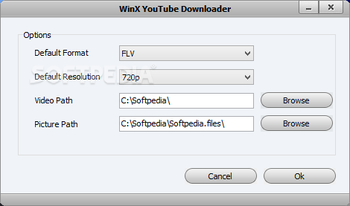 WinX YouTube Downloader screenshot 3