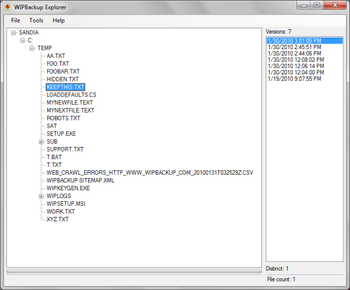 WIPBackup screenshot