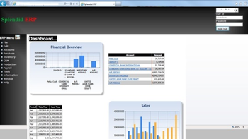 Wis ERP screenshot