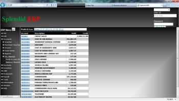 Wis ERP screenshot 2