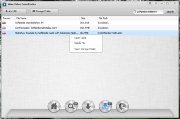 Wise Video Downloader Portable screenshot 3