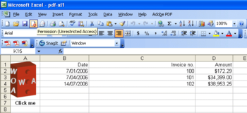 WOA PDF-Excel screenshot 2