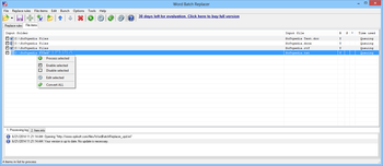 Word Batch Replacer screenshot 2