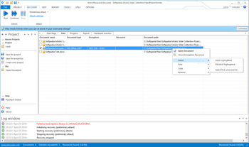 Word Password Recovery screenshot 2