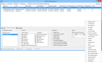 Word Text Replacer screenshot 2