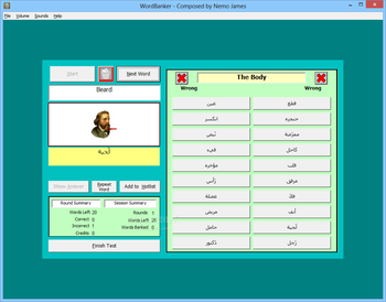 WordBanker English-Arabic screenshot 3