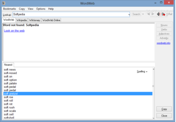 WordWeb screenshot 2
