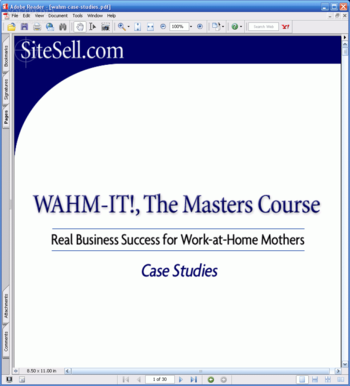 Work At Home Moms Masters Course screenshot