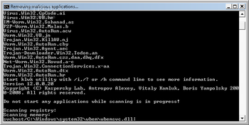 Worm.Win32.AutoRun.hr Remover screenshot