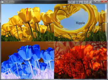 WPF Shader Effects screenshot