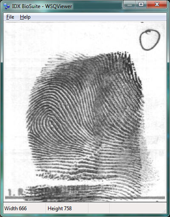 WSQ Viewer screenshot
