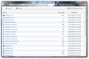 WWW File Share Pro screenshot 2