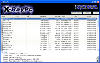 X-RayPC Spyware Process Analyzer screenshot 2