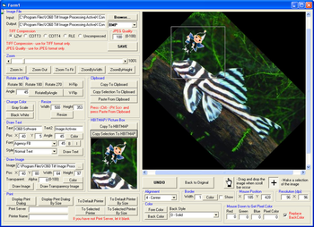 X360 Image Processing ActiveX Control screenshot 3