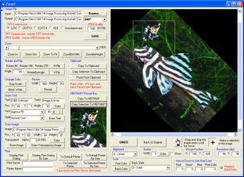 x360soft - Image Processing ActiveX OCX screenshot