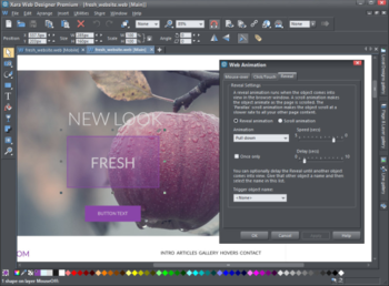 Xara Web Designer Premium screenshot