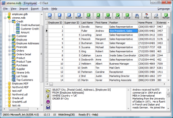 xBaseView Database Explorer screenshot
