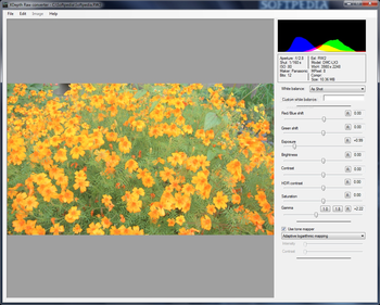 XDepth Raw Converter screenshot