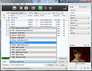 Xilisoft DVD to iPhone Converter screenshot