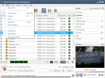 Xilisoft FLV Converter screenshot 3