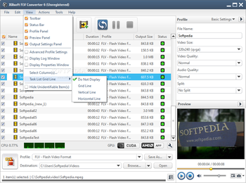 Xilisoft FLV Converter screenshot 4