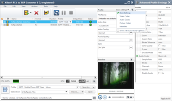 Xilisoft FLV to 3GP Converter screenshot 2