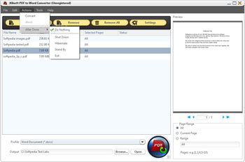 Xilisoft PDF to Word Converter screenshot 2