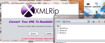 XMLRip screenshot 2