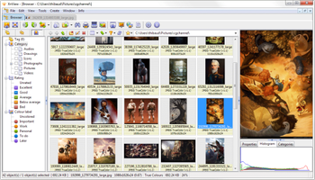 XnView Extended Portable screenshot
