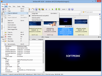 XnView MP screenshot 6