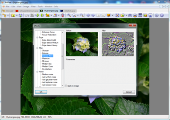 XnView screenshot 5