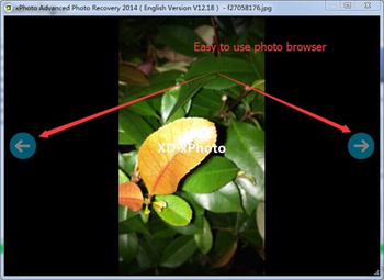 xPhoto Advanced Photo Recovery 2014 screenshot 2