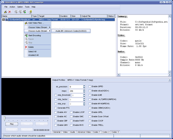 YASA MOV to MPEG WMV AVI Converter screenshot 3