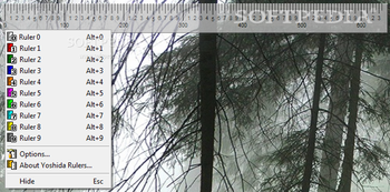 Yoshida Rulers screenshot