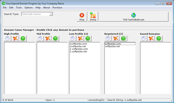 Your Expired Domain Program screenshot