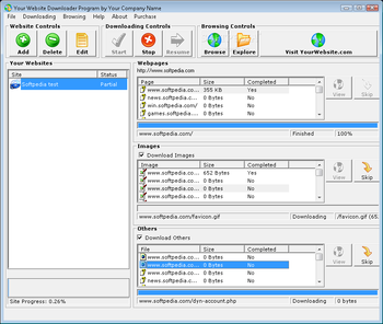 Your Website Downloader Program screenshot