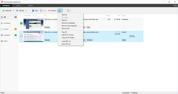 YouTube Downloader Pro screenshot 2