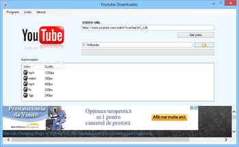 YouTube Downloader screenshot