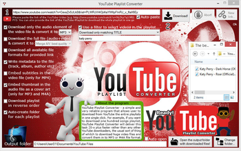YouTube Playlist Converter screenshot 4
