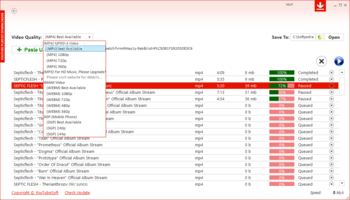 YouTube Playlist Downloader screenshot 2