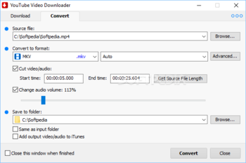 YouTube Video Downloader screenshot 2