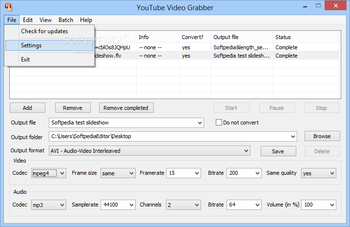 YouTube Video Grabber screenshot 2