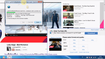 YouTubeNinja screenshot 2