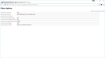 YSlow for Chrome screenshot 7